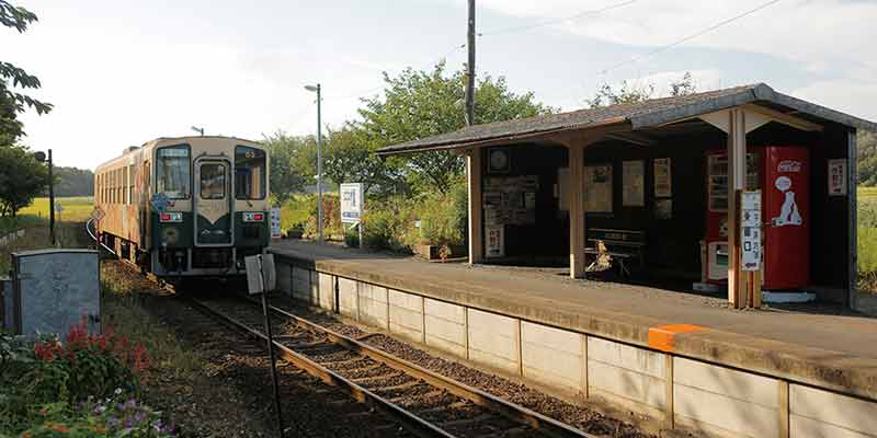 Stasiun Nakane di Jepang merupakan stasiun dengan pemandangan pedesaan yang indah, di mana platfromnya hanya terdiri dari peron yang diberi atap. Di sekitar stasiun ini ada peninggalan sejarah seperti kofun (kuburan kuno Jepang) dan banyak lagi. 
