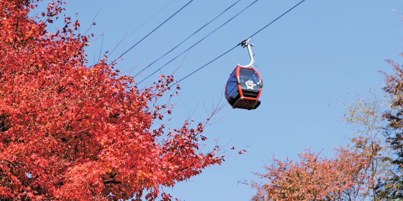 Kobe Nunobiki Herb Garden. Taman yang bisa dijangkau dengan 5 menit jalan kaki dari stasiun Shin-Kobe ini terkenal dengan atraksi kereta gantungnya. 