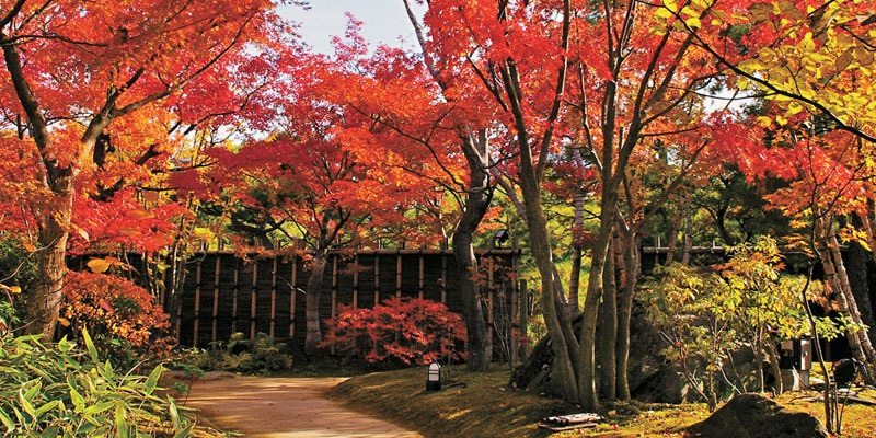 Taman Kokoen di Prefektur Hyogo, Jepang, ini melatarbelakangi Benteng Himeji.