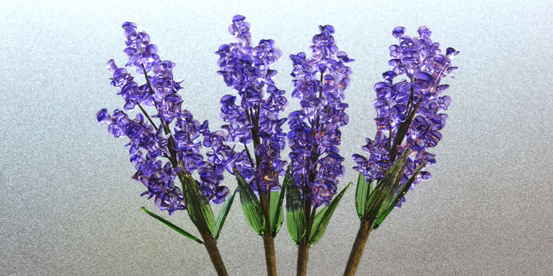 Gelas berbentuk bunga lavender yang mewakili musin panas di toko Glass Forest in Furano, Hokkaido, Jepang. Gelas ini oleh-oleh favorit wisatawan yang dijual dengan harga 432 Yen per buah.
