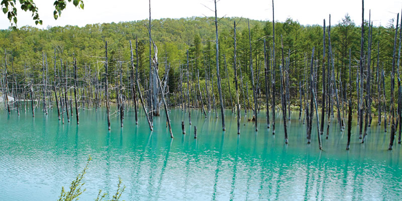 Kolam biru Aoi Ike di Hokkaido, Jepang.