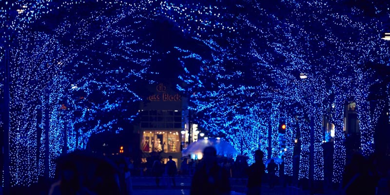 Lampu berwarna biru dipasang di sepanjang jalan taman Shibuya dan deretan pohon Keyaki di taman Yoyogi, Tokyo, Jepang. Event iluminasi ini digelar mulai 22-31 Desember 2017.