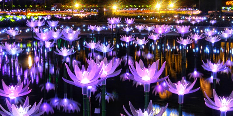 Ashikaga Flower Park terletak di Prefektur Tochigi, Jepang. Pada 20 Oktober 2017 taman ini dinobatkan sebagai salah satu dari tiga lokasi iluminasi terbesar di Jepang pada acara Yakei Summit 2017 di Ashikaga.