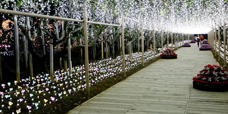 Ashikaga Flower Park terletak di Prefektur Tochigi, Jepang. Pada 20 Oktober 2017 taman ini dinobatkan sebagai salah satu dari tiga lokasi iluminasi terbesar di Jepang pada acara Yakei Summit 2017 di Ashikaga.