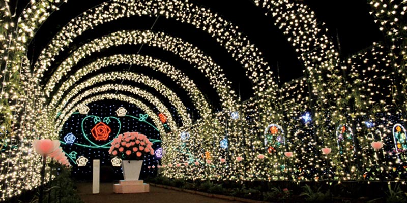 Ashikaga Flower Park terletak di Prefektur Tochigi, Jepang. Pada 20 Oktober 2017 taman ini dinobatkan sebagai salah satu dari tiga lokasi iluminasi terbesar di Jepang pada acara Yakei Summit 2017 di Ashikaga.