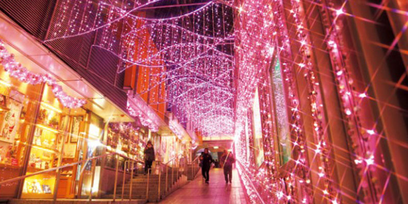 Shinjuku Terrace City Illumination 17-18 merupakan event iluminasi yang diadakan dari pintu keluar Barat Odakyu Line stasiun Shinjuku sampai dengan pintu keluar selatan. Event ini diadakan dari 15 November 2017 sampai 22 Februari 2018.