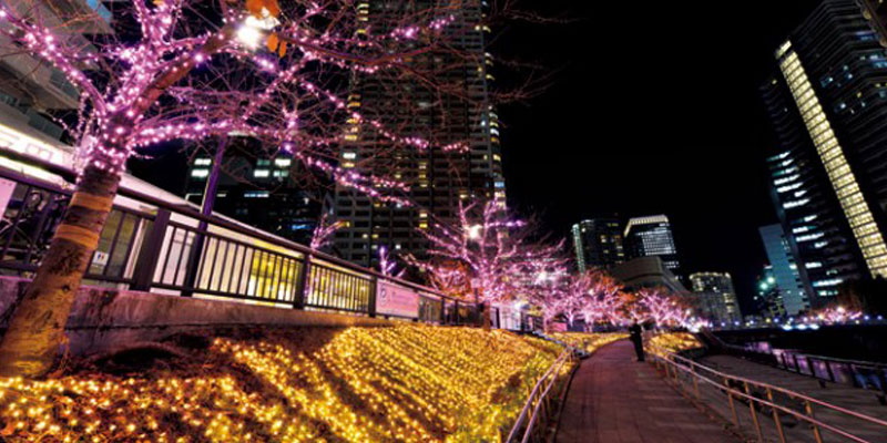 Di sepanjang pinggiran Sungai Meguro yang terbentang dari Stasiun Gotanda sampai dengan Stasiun Osaki yang terkenal sebagai spot bunga sakura ini diadakan event iluminasi bernama Meguro River Minna no Illumination 2017. Event ini diadakan dari 10 November 2017 sampai 8 Januari 2018. 
