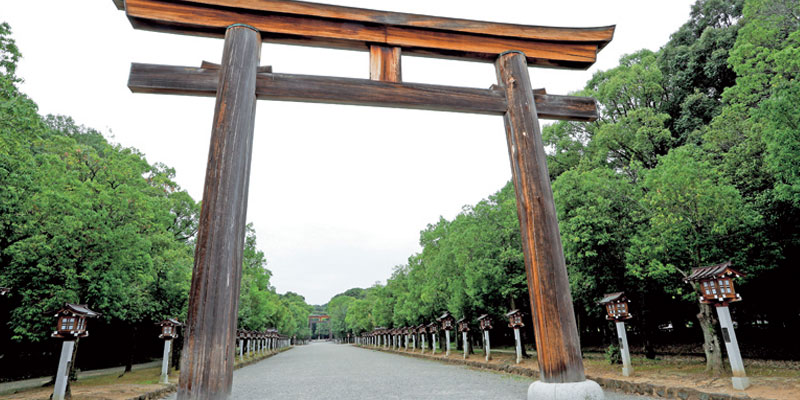 Gerbang kuil (tori) besar akan menyambut kita di jalan masuk Kuil Kashihara Jingu di kota Nara, Jepang. Pohon ek berjajar di kanan dan kiri jalan.