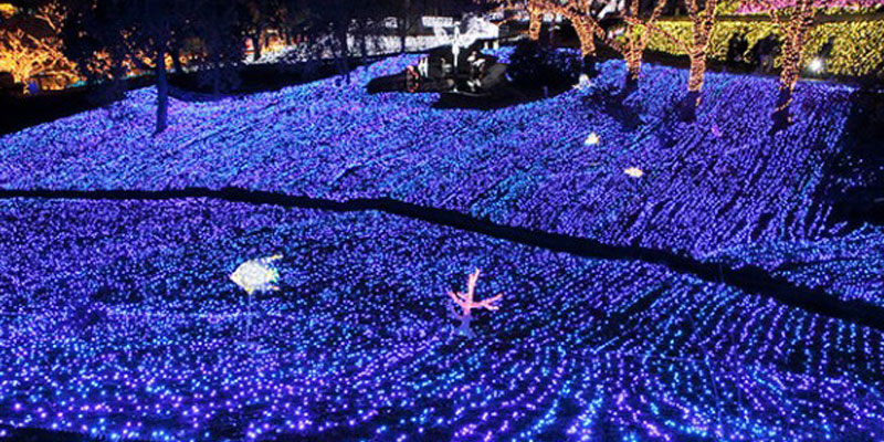 Festival Sagami-ko Ilumination merupakan event iluminasi terbesar di daerah Kanto (Tokyo dan sekitarnya).