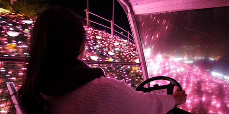 Bumpy Cart merupakan atraksi di mana pengunjung dapat naik cart sambil menikmati taman bunga cahaya berwarna pink pada Festival Sagami-ko Ilumination. Ini merupakan event iluminasi terbesar di daerah Kanto (Tokyo dan sekitarnya)