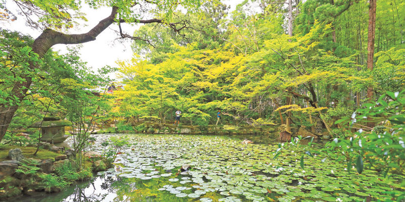 Kuil Tenjuan merupakan salah satu anak kuil yang ada di dalam areal Kuil Nanzenji di Kyoto, Jepang.