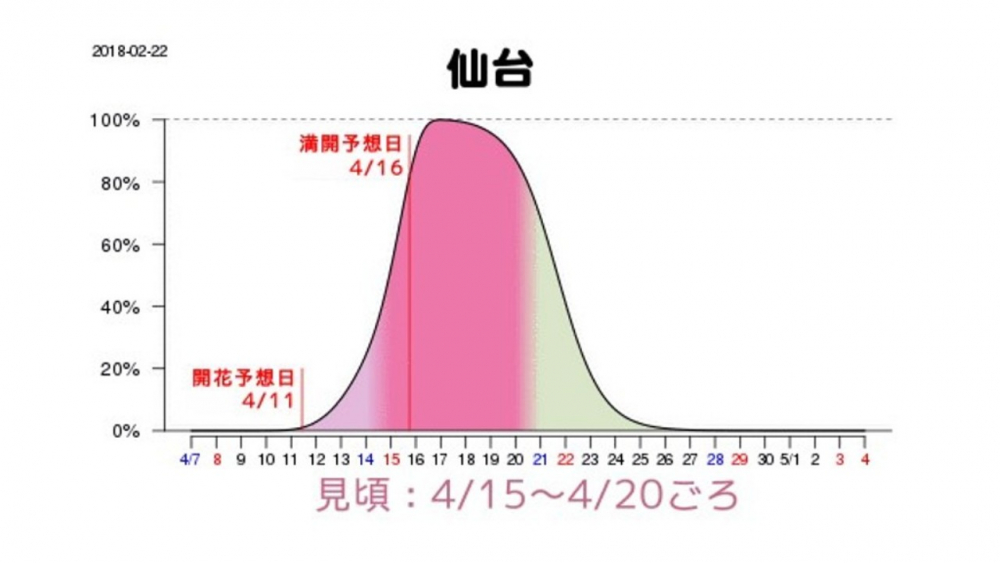 Grafik prakiraan waktu mekar sakura di Sendai