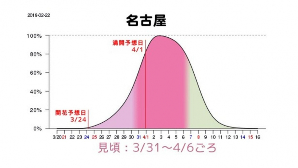 Grafik prakiraan waktu mekar sakura di Nagoya