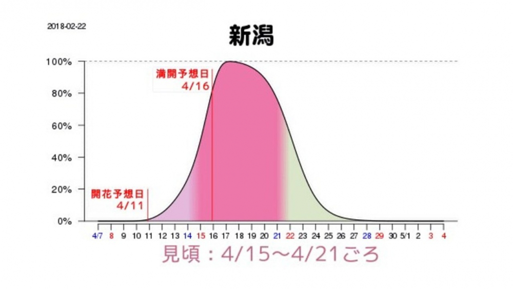 Grafik prakiraan waktu mekar sakura di Niigata