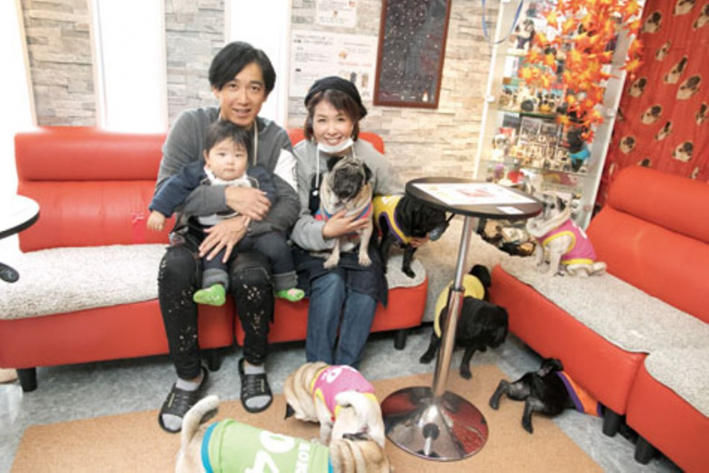 Kyoto Pug Café LivingRoom 