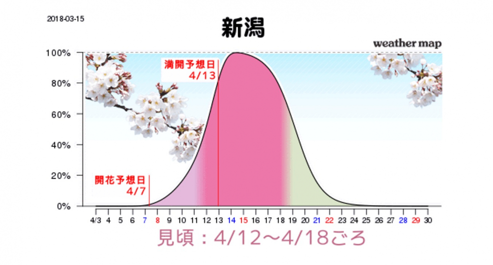 Grafik perkiraan mekarnya sakura di Niigata