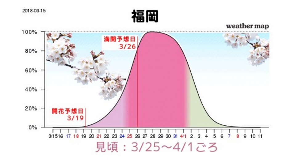 Grafik perkiraan mekarnya sakura di Fukuoka
