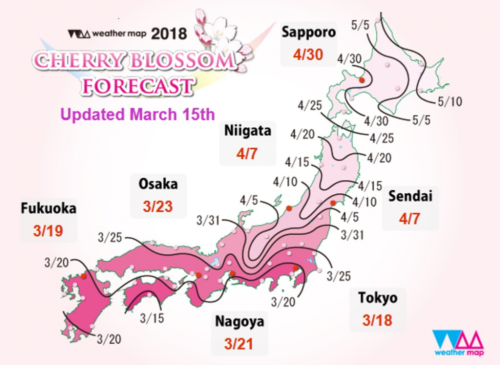 Jadwal mekar sakura di Jepang tahun 2018