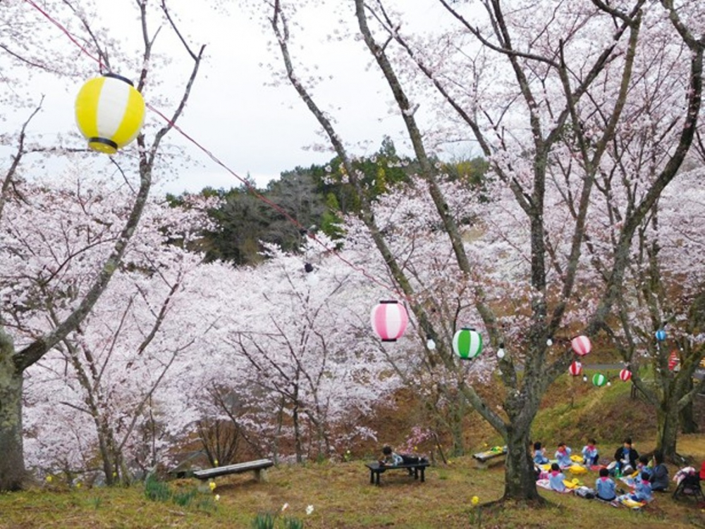 Naegi Sakura Park
