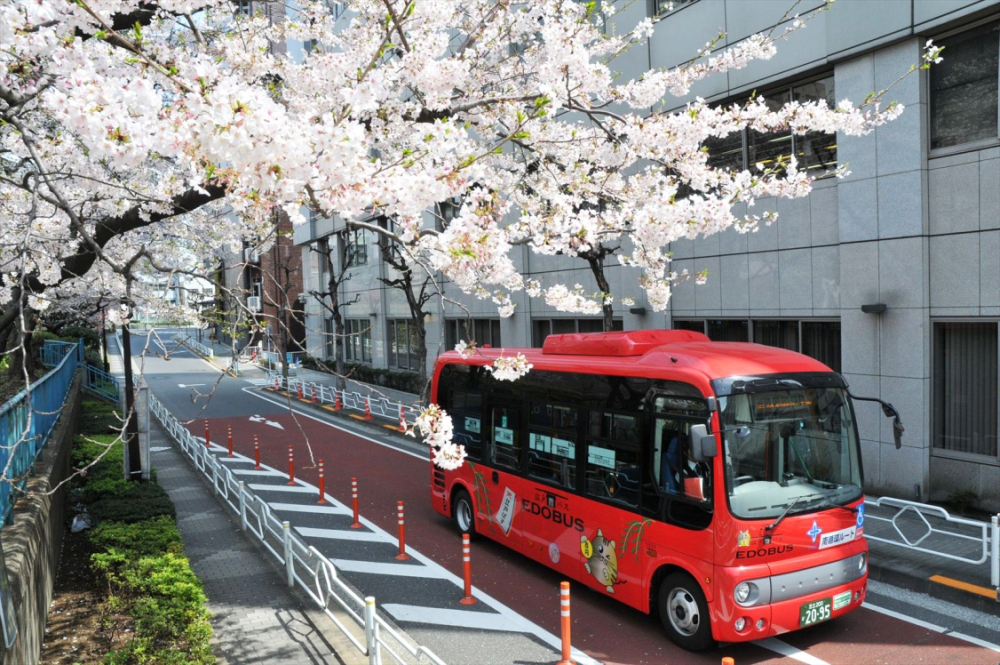 Edo Bus