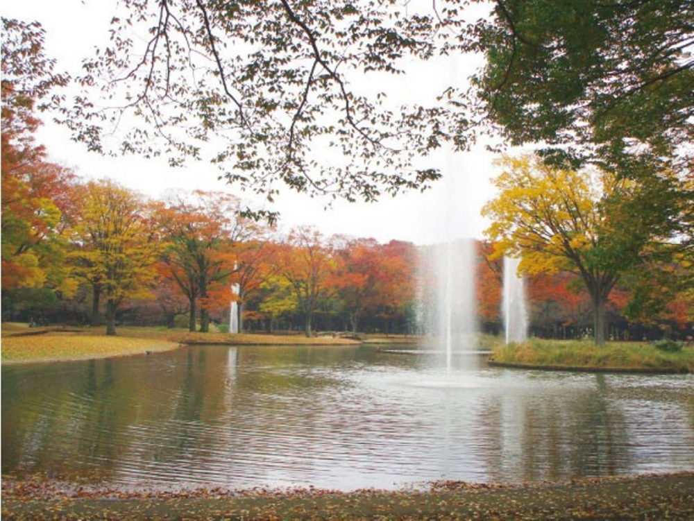 Taman Yoyogi 