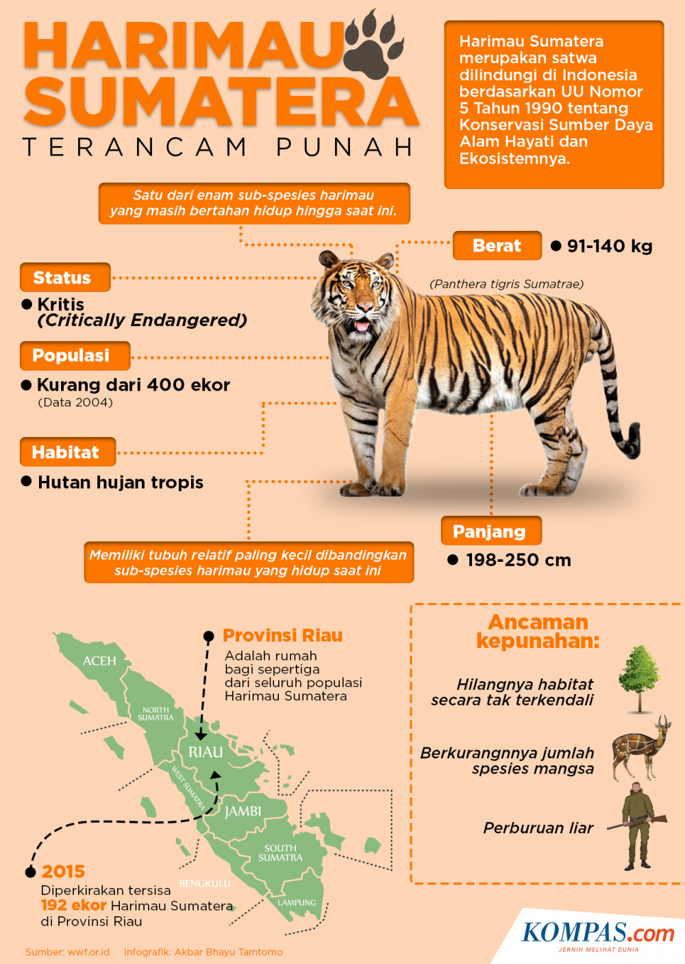 INFOGRAFIK: Harimau Sumatera Terancam Punah