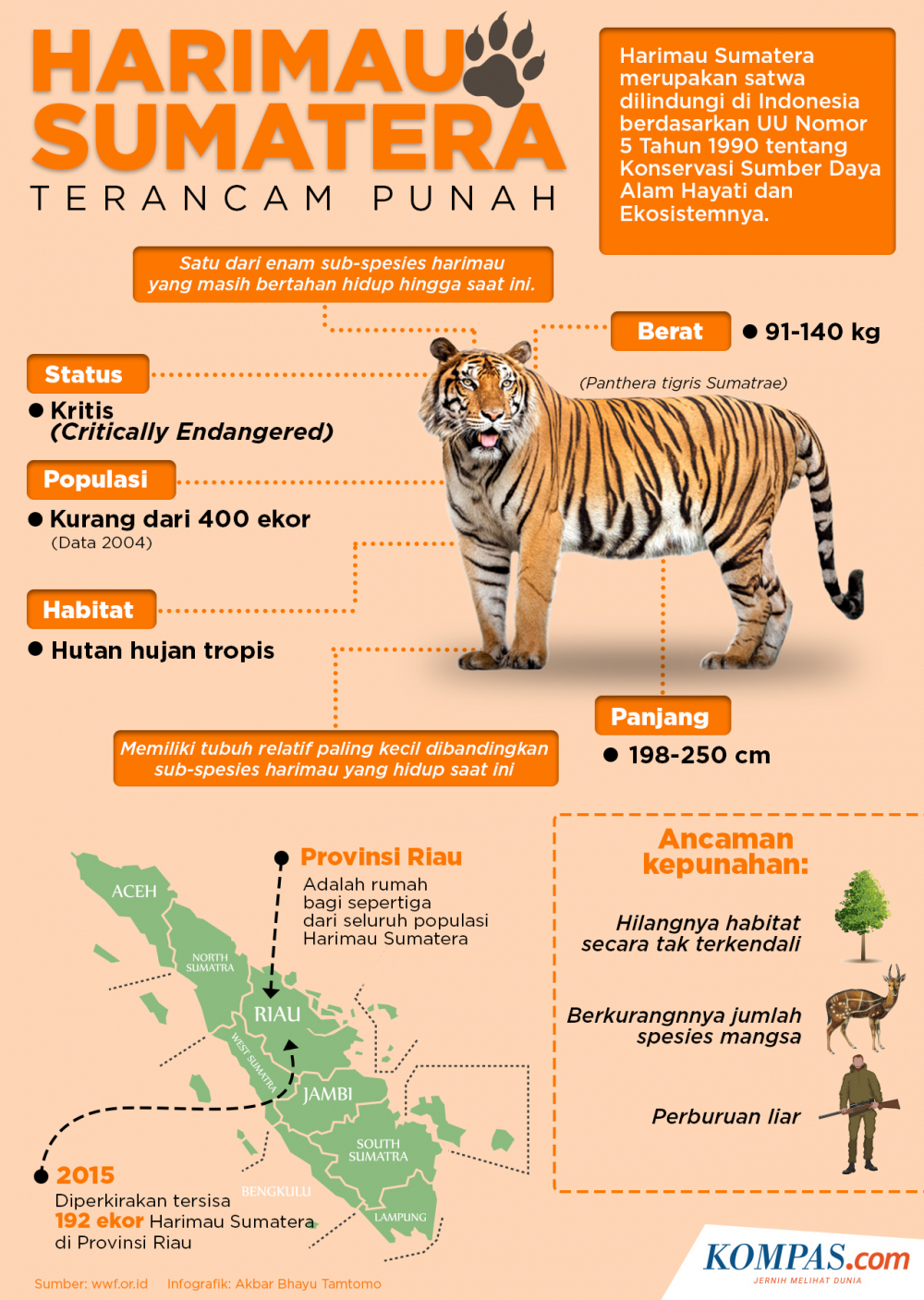 Unduh 620 Koleksi Gambar Harimau Ngantuk Paling Bagus 