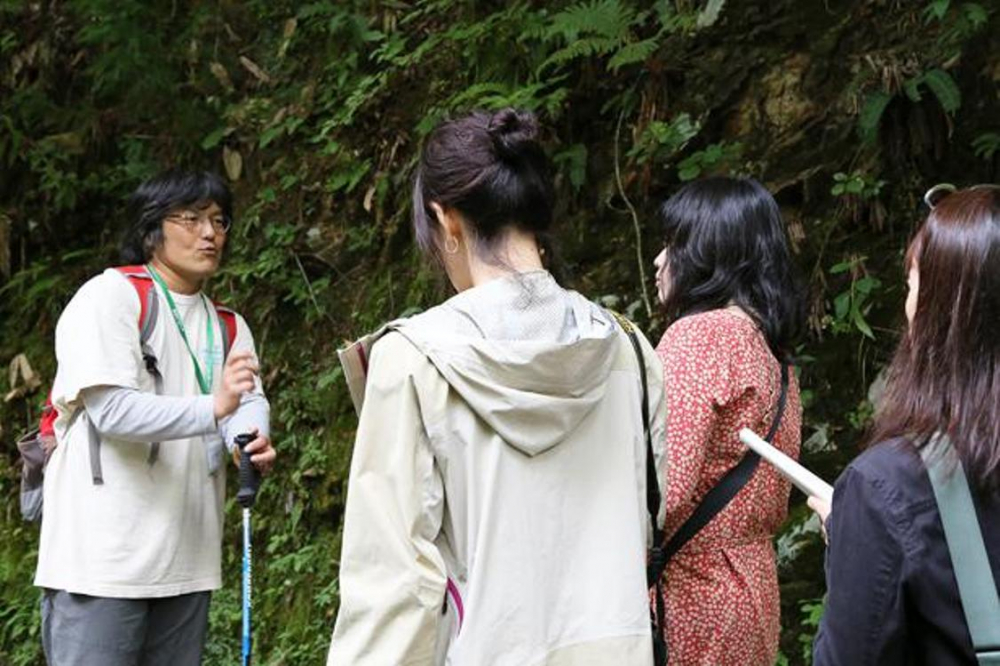 Berjalan-jalan melewati therapy road dengan dipandu oleh shinrin therapist atau pemandu shinrin therapy. Kita bisa menikmati keanekaragaman makhluk hidup seperti tumbuh-tumbuhan dan sebagainya sambil menerima penjelasan dari pemandu setiap saat.   