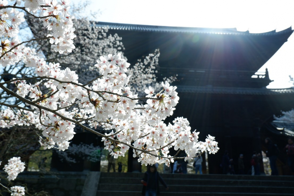 Kuil Nanzenji