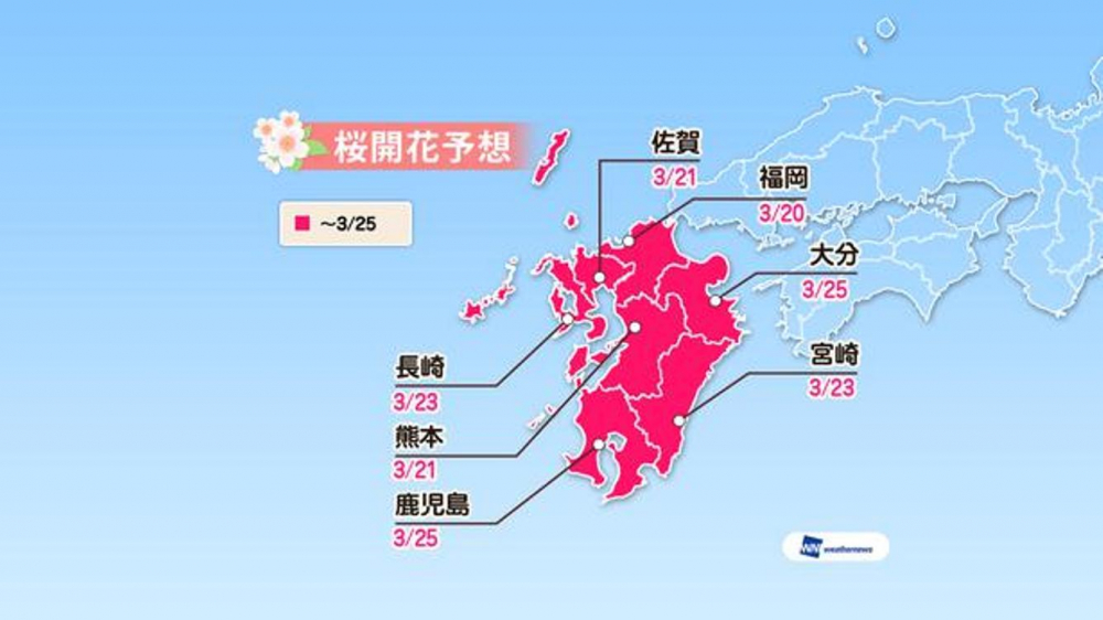 Prediksi sakura mekar di area Kyushu (Prediksi diumumkan tanggal 16 Januari 2019/ Weather News). 