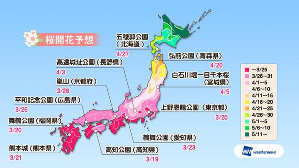 Prediksi sakura mekar di lokasi sakura yang terkenal di Jepang (prediksi diumumkan pada tanggal 16 Januari 2019 oleh Weather News). 
