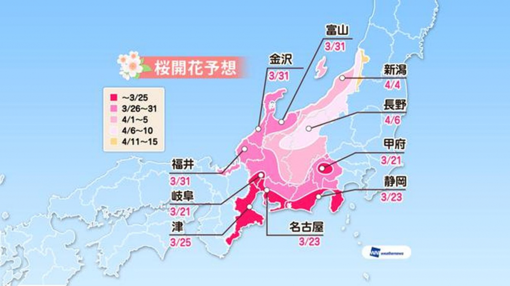 Prediksi sakura mekar di area Chubu (Prediksi diumumkan tanggal 16 Januari 2019/ Weather News). 