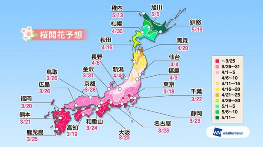 Prediksi sakura mekar di seluruh wilayah di Jepang (Prediksi diumumkan pada tanggal 16 Januari 2019/ Weather News).