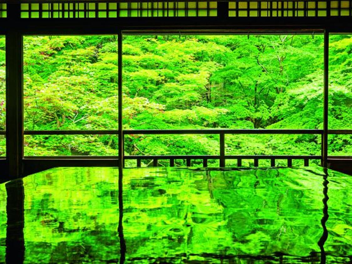 Panorama musim semi di Ruri no Niwa (taman bergaya Jepang) merepresentasikan Tanah Kebahagiaan dalam agama Buddha, pemandangan ini dapat dinikmati dari lantai kedua dari ruangan Shoin (ruang gambar). 