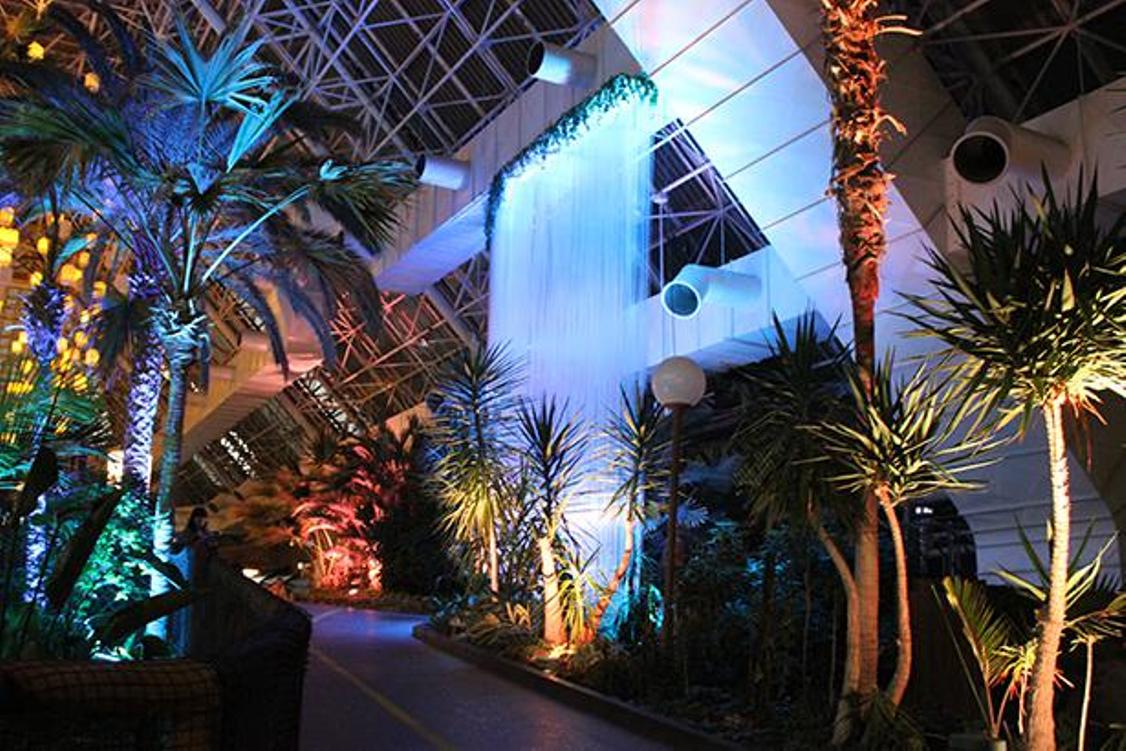 Taman resor Singapura, Cloud Forest, diciptakan kembali di Palm Tree Way. 