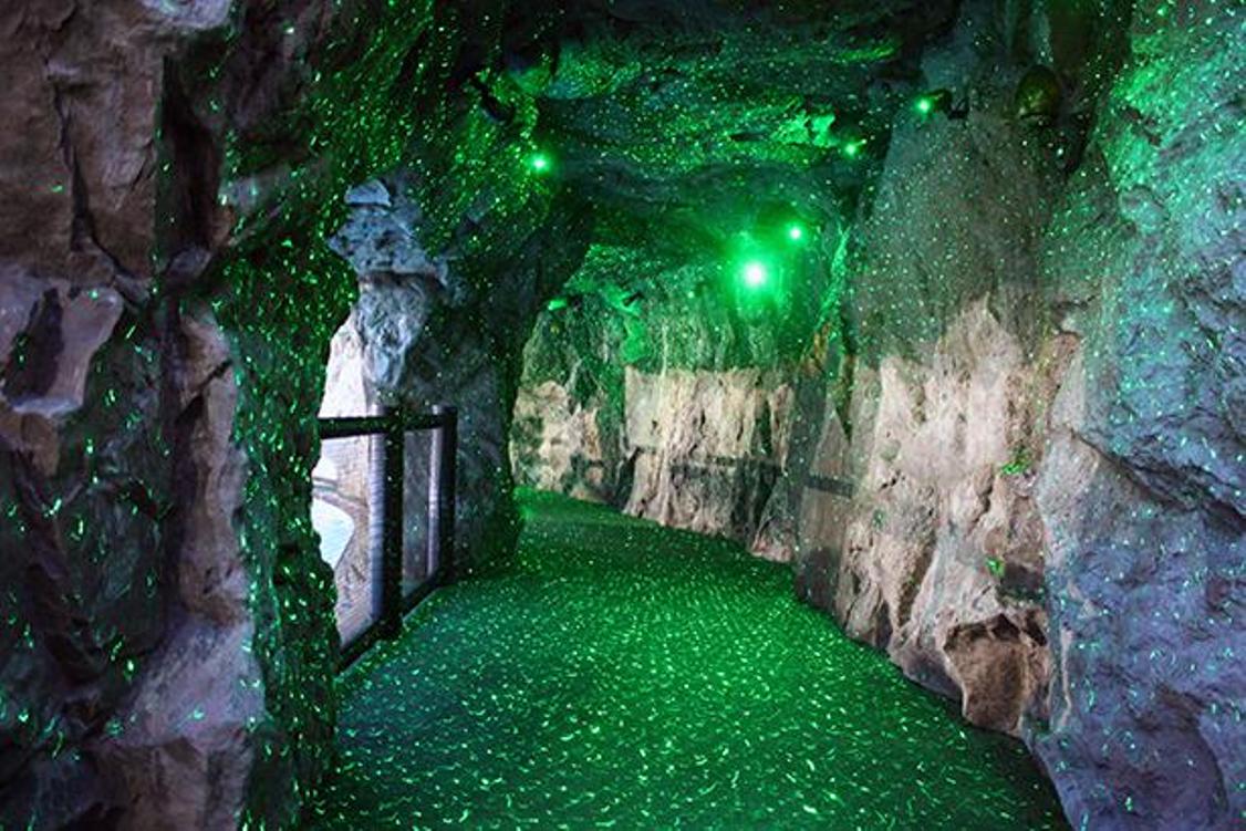 Great Journey memiliki suasana seperti gua Waitomo Glowworm Cave di Selandia Baru