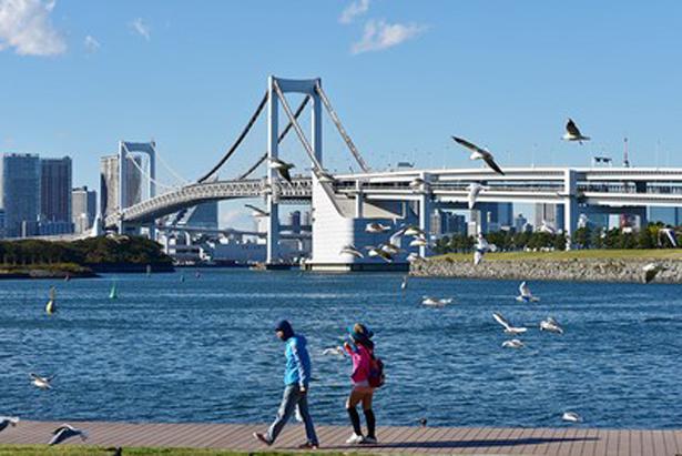 Jembatan Pelangi dan burung laut dapat dilihat dari Marine House.