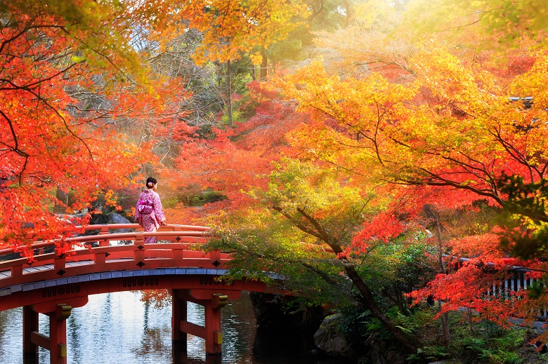 ilustrasi musim gugur di Jepang.