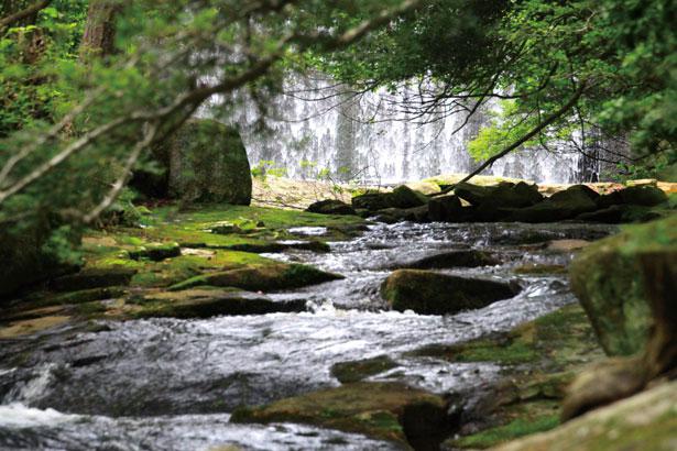 Meibaku (berarti bernyanyi) dinamai demikian karena bagian belakang air terjun itu berlubang dan mengeluarkan suara.