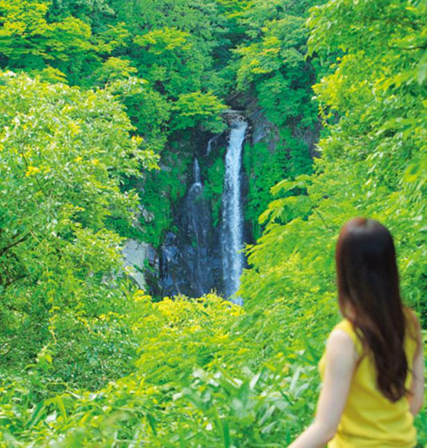 Ini adalah pemandangan Air Terjun Hattan no Taki dari tempat parkir. Jika menuruni jalur gunung selama sekitar lima menit, Anda akan tiba di air terjun.