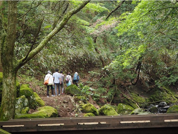 Hiking di musim gugur. 