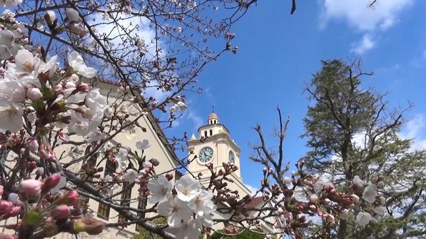 Kwansei Gakuin University