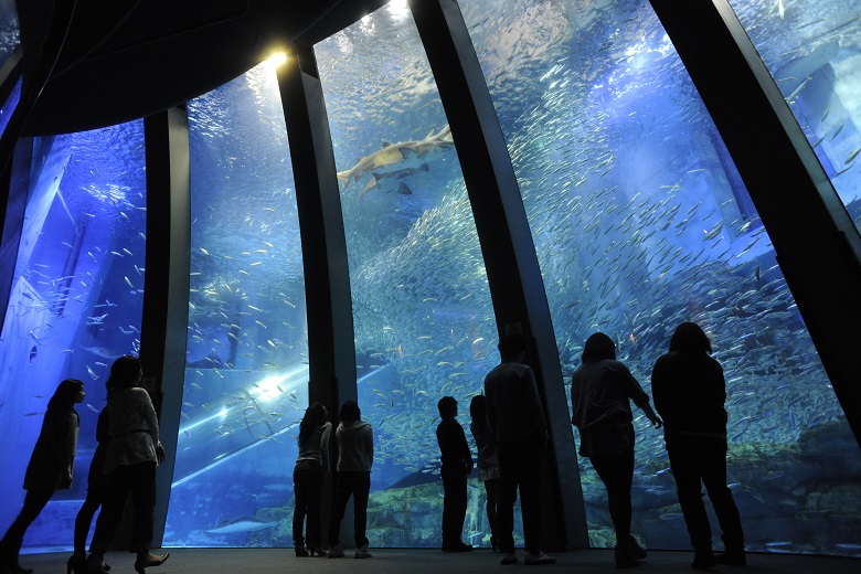 Aquarium di Yokohama.