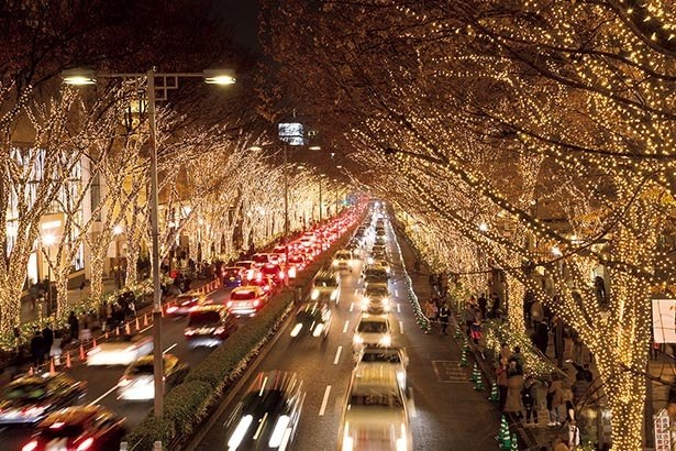 Sembilan ratus ribu lampu menghiasi jajaran pepohonan di luar Stasiun Harajuku
