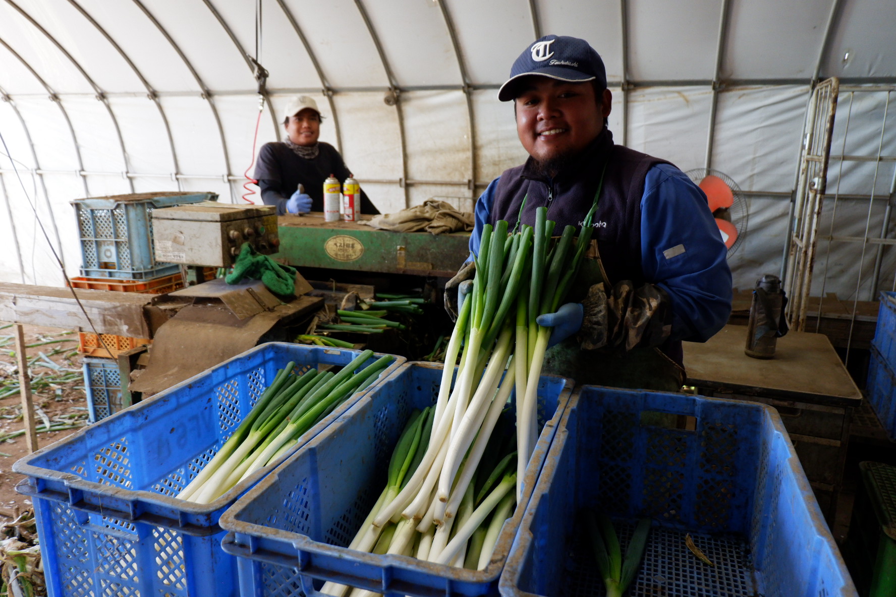 Petani Jepang dan hasil pertanian seperti daun bawang.