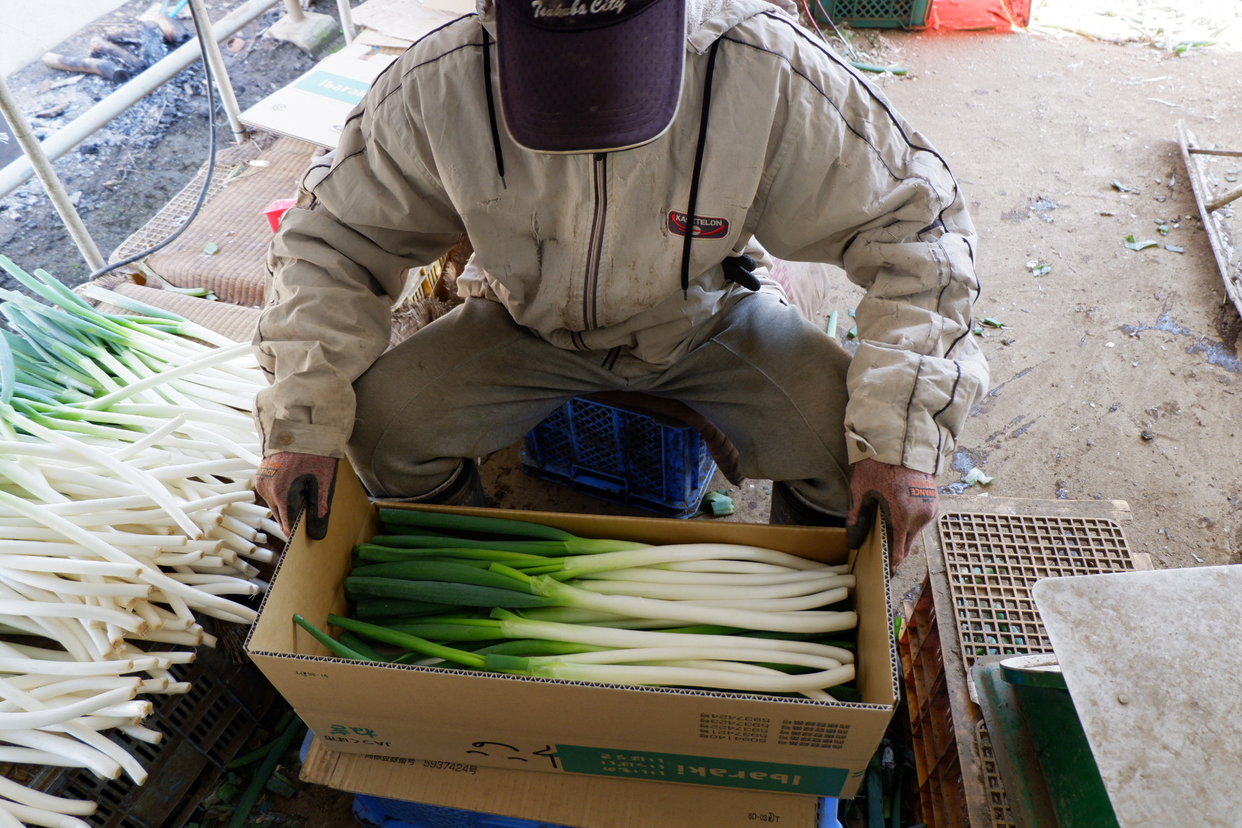 Petani dan daun bawang di Jepang.