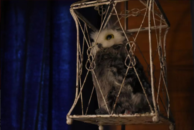 Hedwig yang akan menemani waktu singgahmu di The Expected Inn.