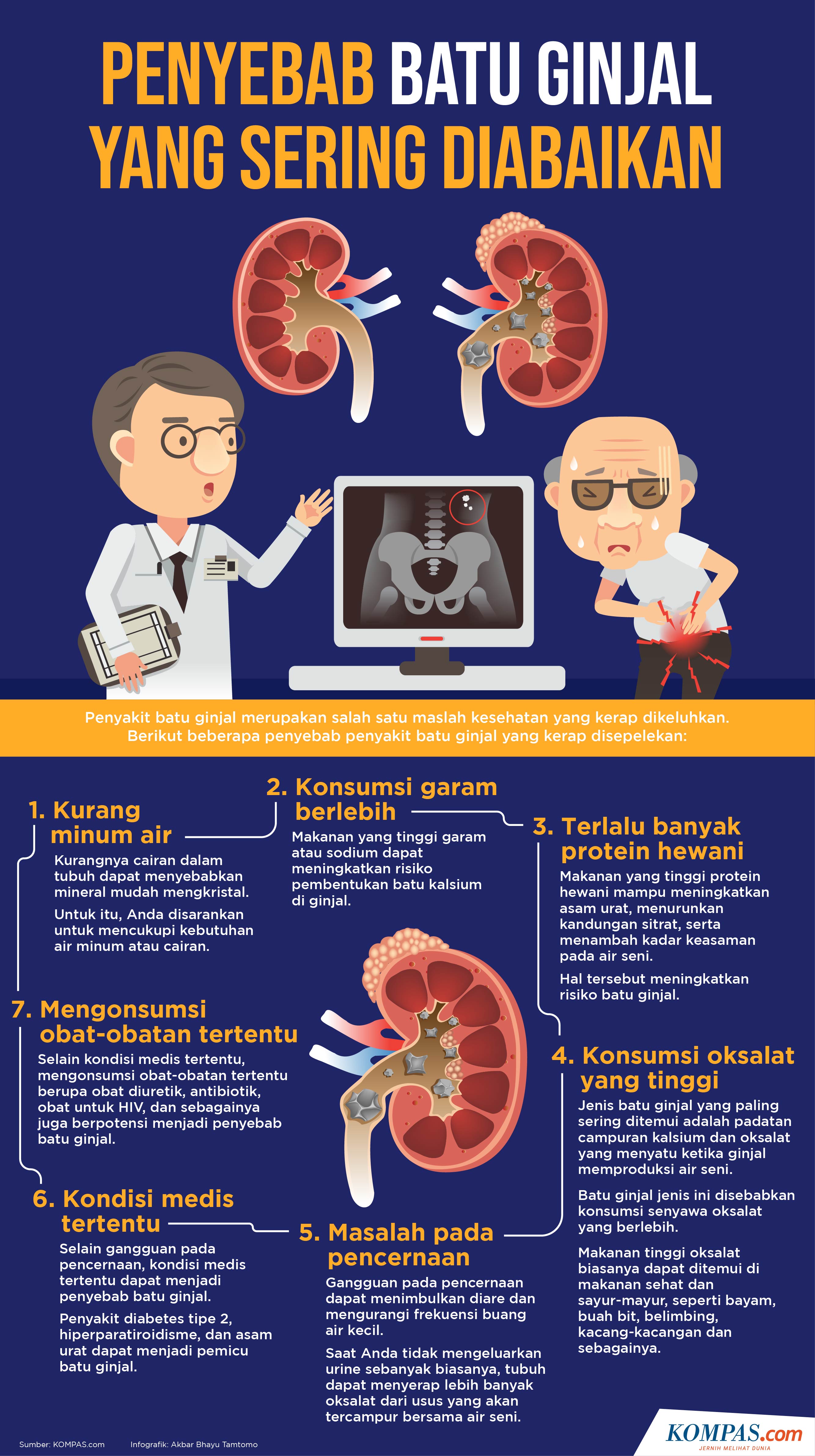 Infografik Penyebab Batu Ginjal Yang Sering Diabaikan