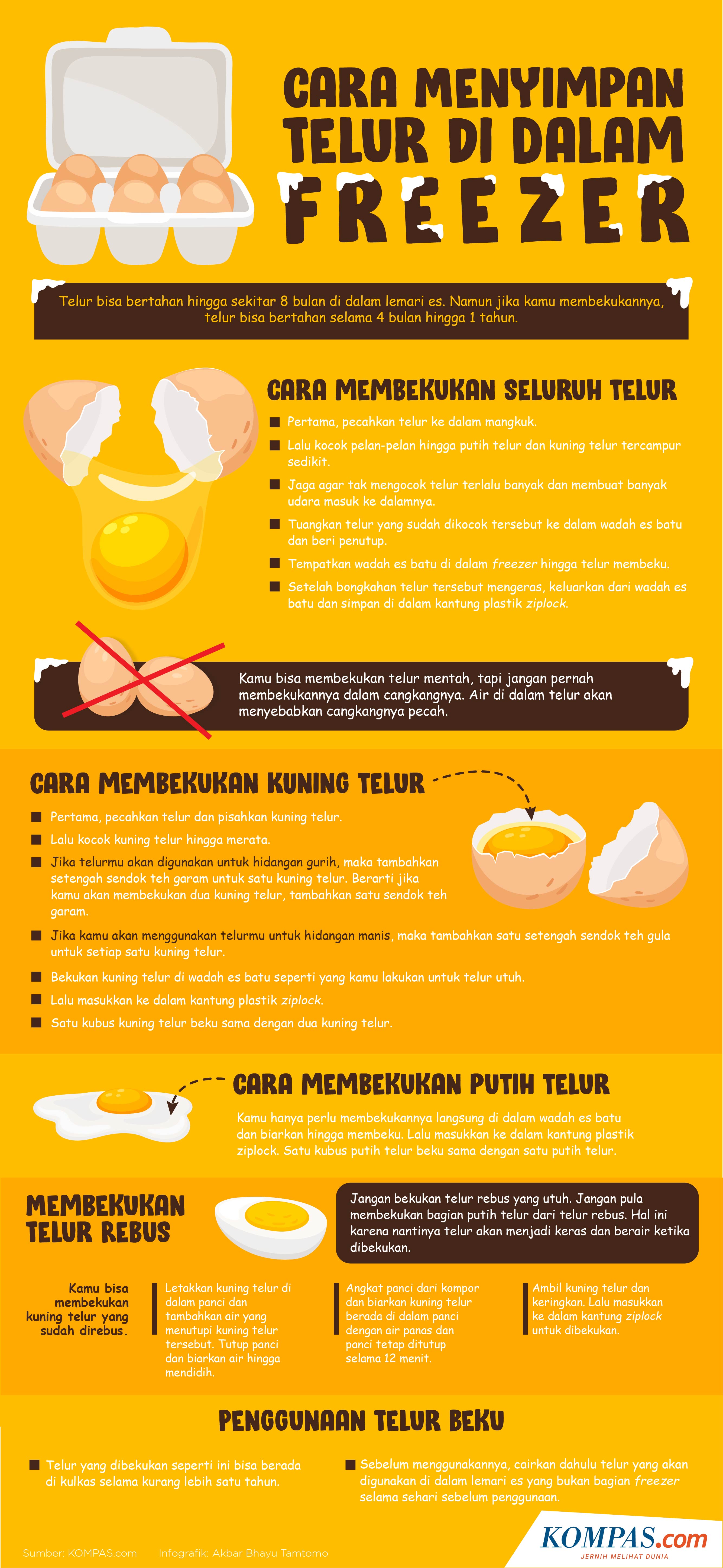 Infografik Cara Menyimpan Telur Di Dalam Freezer