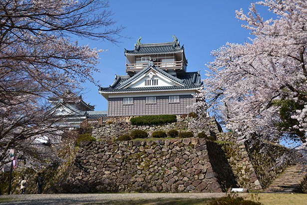 Menara kastel di puncak Gunung Kameyama (249 m). Di dalam kastel terdapat pusat sumber budaya yang menampilkan barang-barang dari para penghuni istana pada masa lalu.